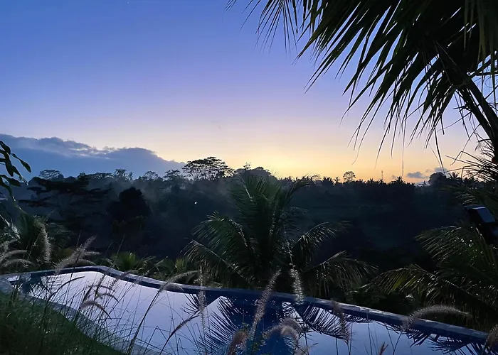 De Sila House And Pool, With Pool, Rice Terrace And Clift View *