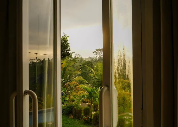 De Sila House And Pool, With Pool, Rice Terrace And Clift View *