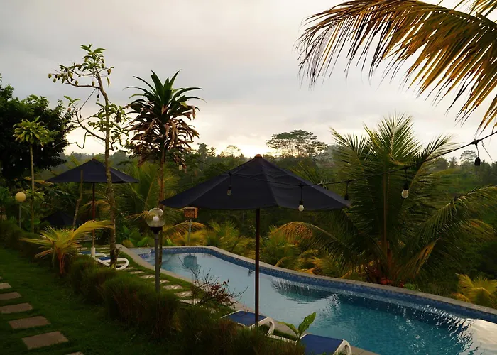 Orman Evi De Sila House And Pool, With Pool, Rice Terrace And Clift View